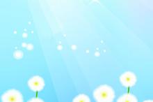 清新简约精美ppt背景