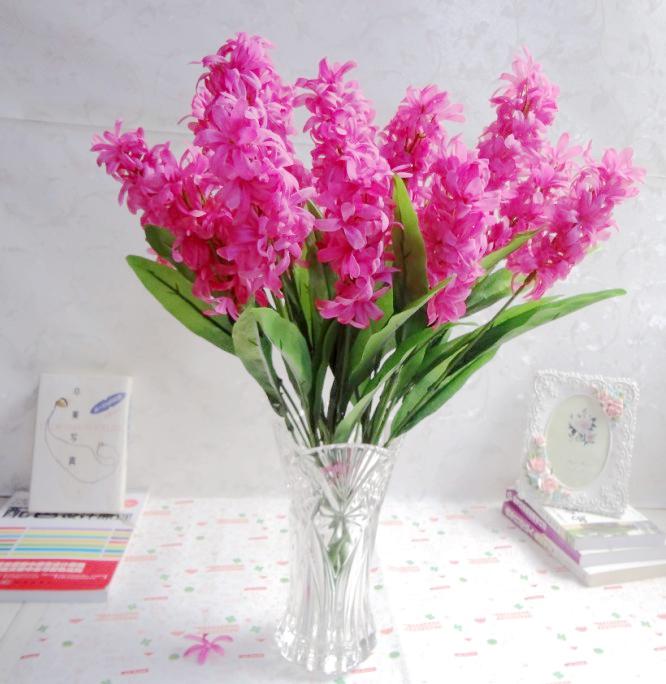 室内植物水培风信子