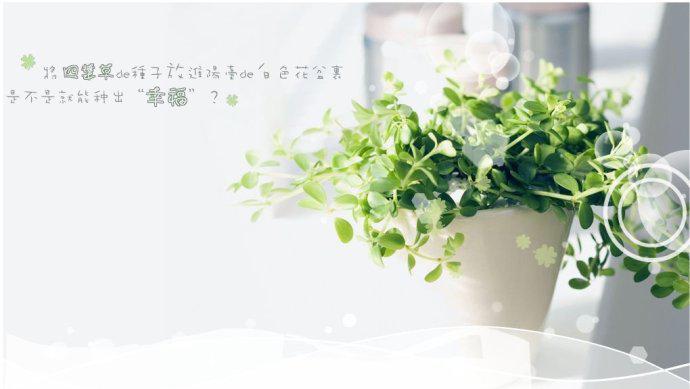 唯美QQ空间淡雅背景