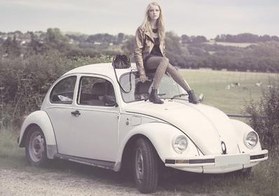 复古纯情色甲壳虫