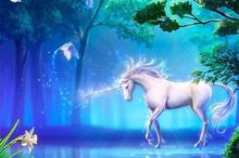 唯美梦幻童话王国