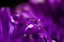 Windows主题流动的宝石