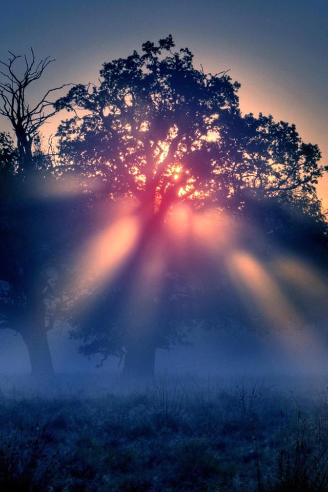 优美大自然晨曦