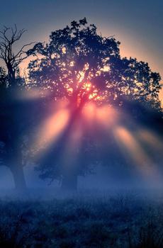 优美大自然晨曦