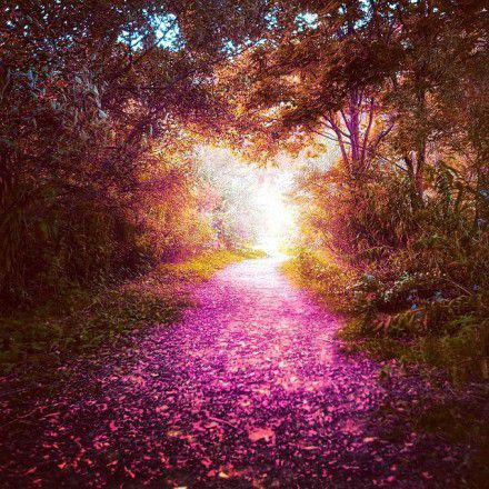 超美的自然意境