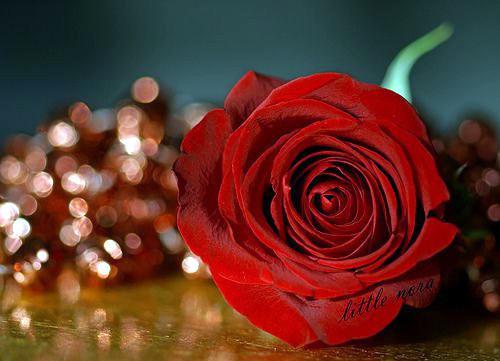 七夕的浪漫爱情