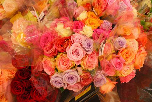 七夕情人节玫瑰花卉