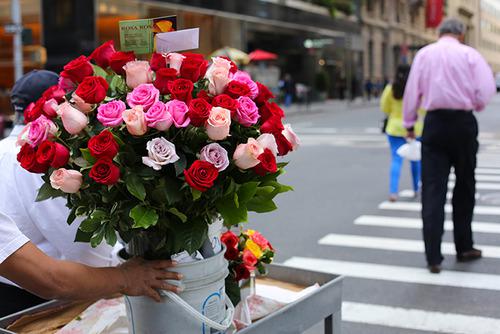 七夕情人节玫瑰花卉