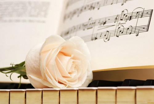 唯美玫瑰七夕情人节