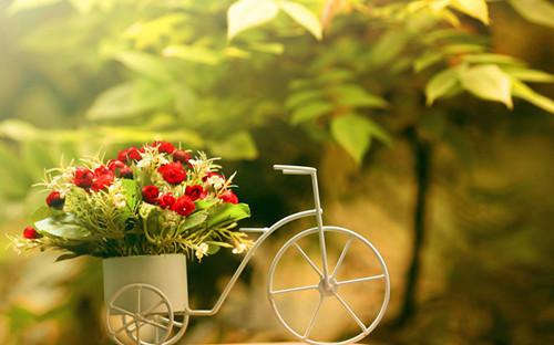 唯美玫瑰七夕情人节