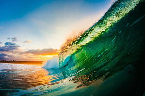 海浪里的独特世界