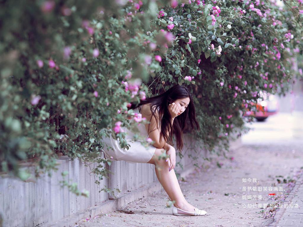蔷薇花下唯美意境女生