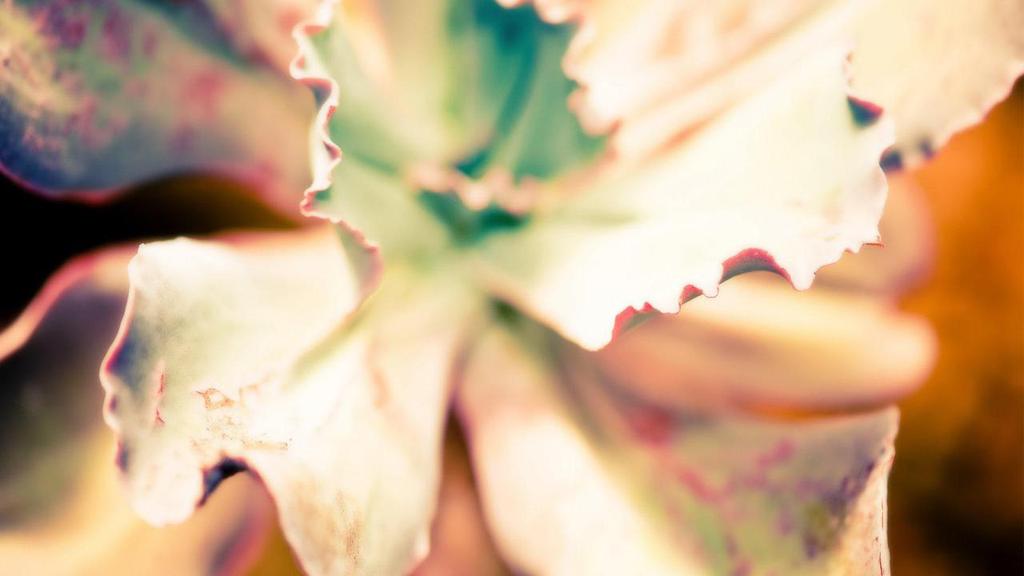 可爱温馨时刻唯美