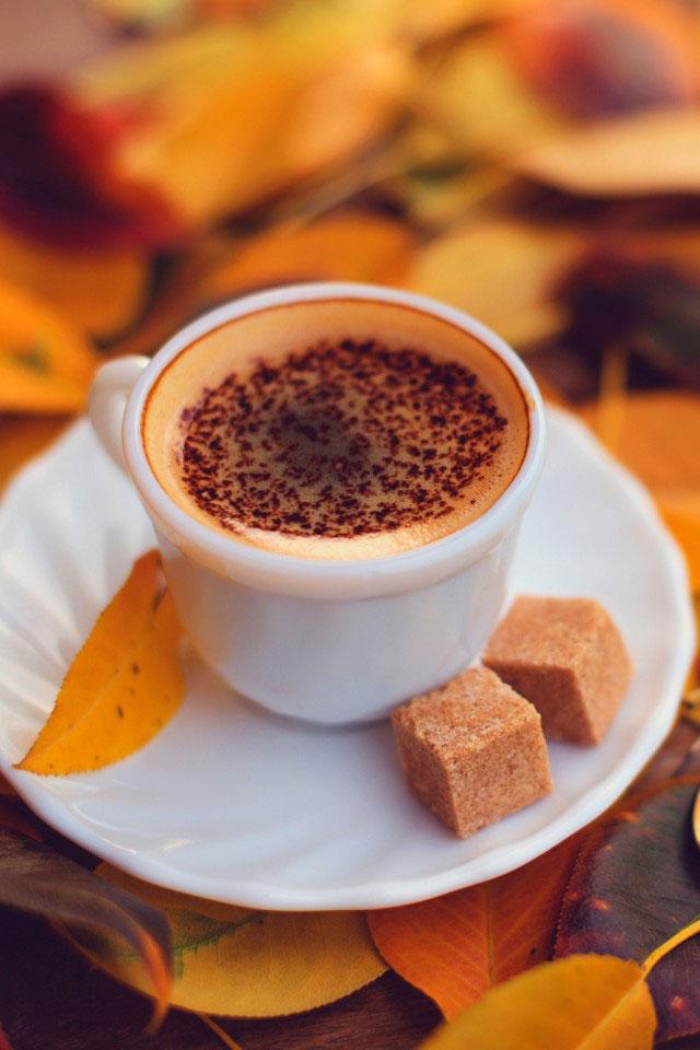 咖啡杯中的忙碌人生