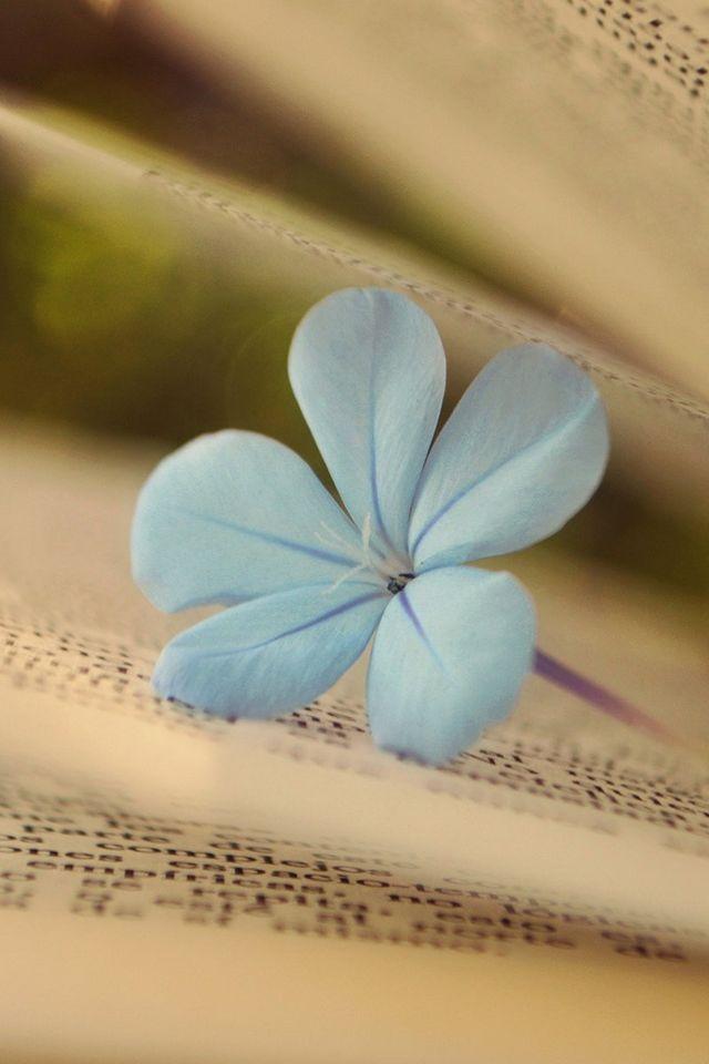 字里行间甜美的爱