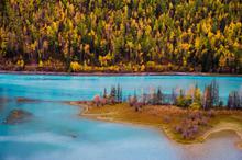 唯美喀纳斯秋天童话