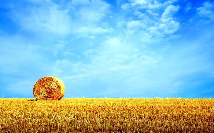 唯美意境秋天童话