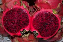 越南红心火龙果