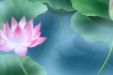 萤火之森经典场景