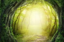 梦幻仙境唯美场景背景