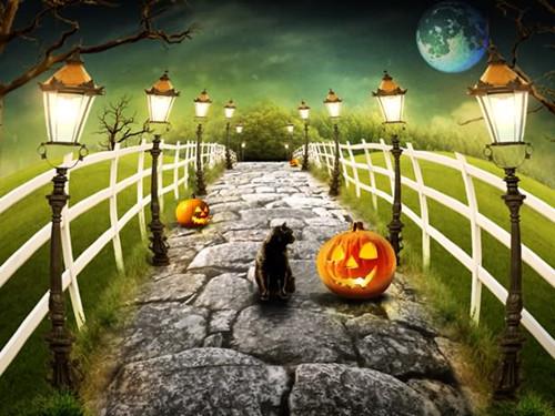 小路唯美场景背景