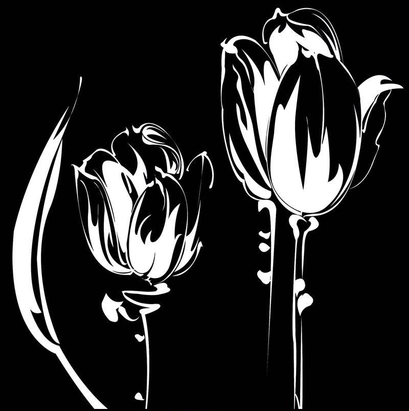 黑白花卉抽象