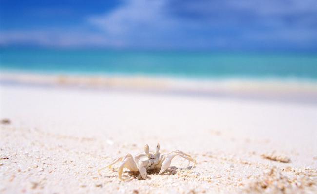 三亚最美的海滩