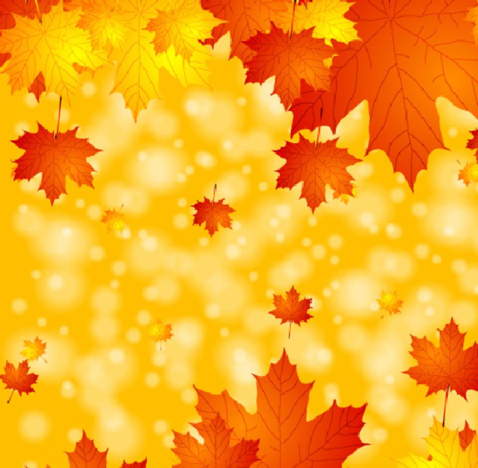 黄色枫叶唯美背景