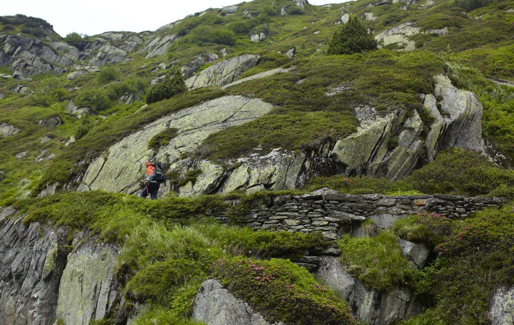 登高望远登山运动