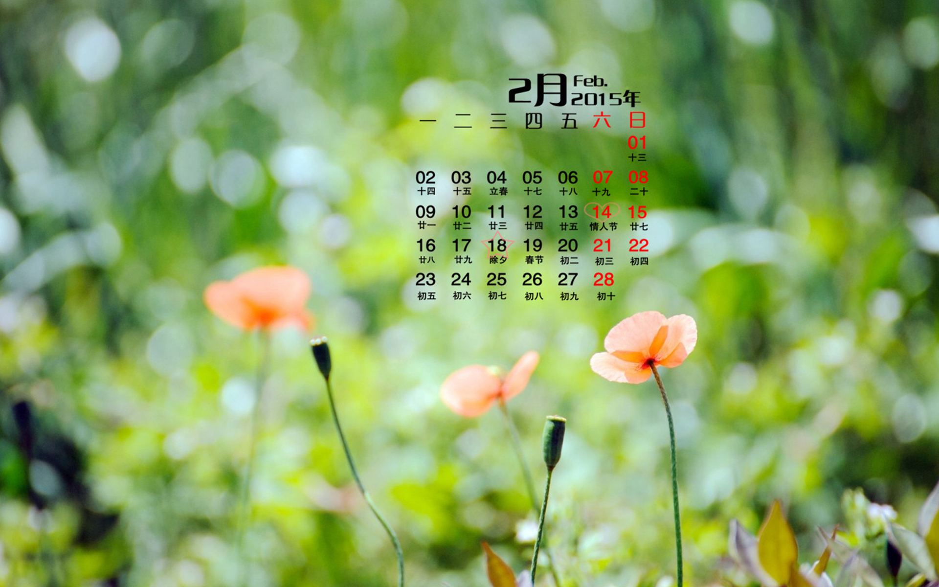2015年早春2月日历