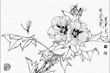 美丽花朵简笔画