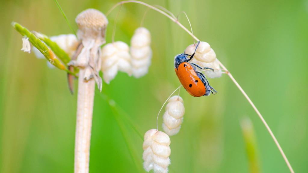 小清新唯美风格图片