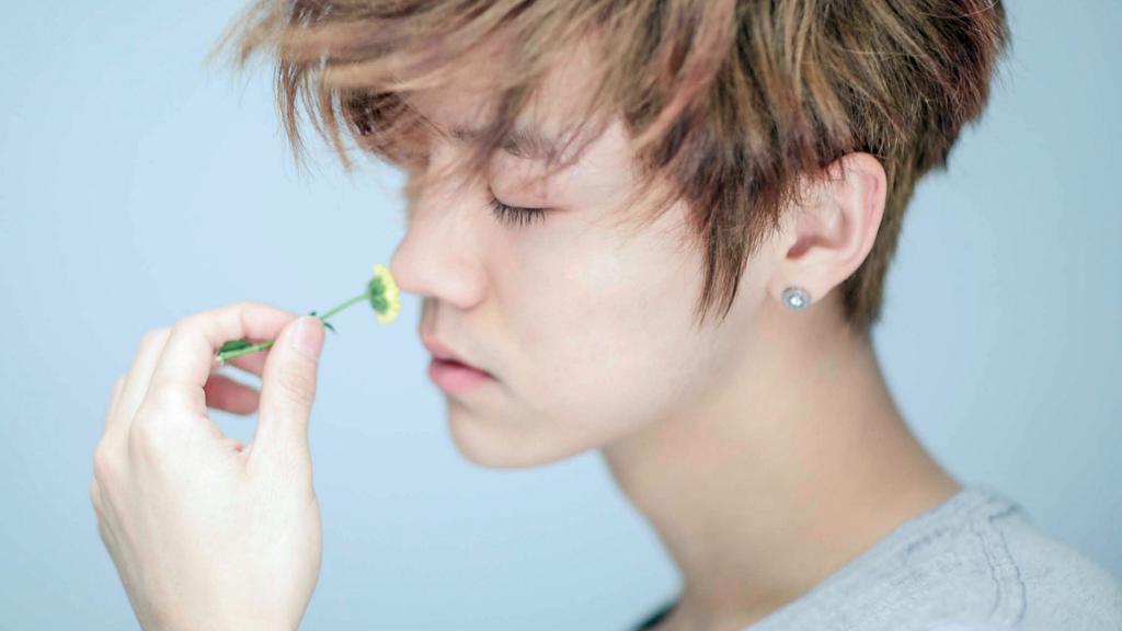 EXO成员鹿晗《甜蜜蜜》