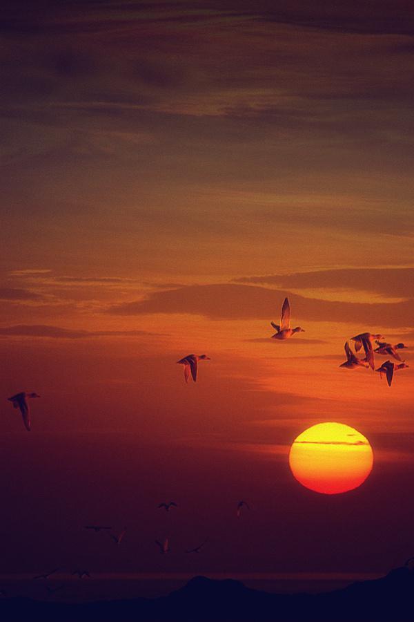 伤感幽静唯美图片