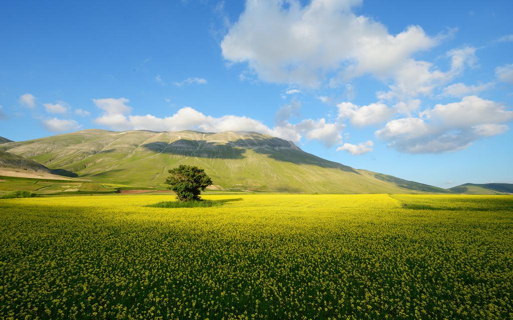 同一片天空下的景色