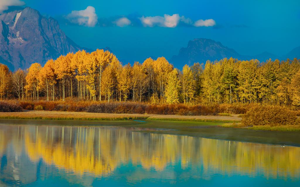 同一片天空下的景色