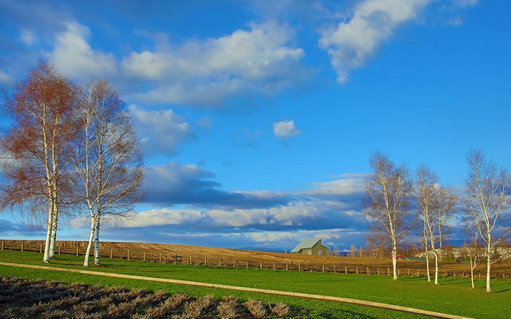 同一片天空下的景色
