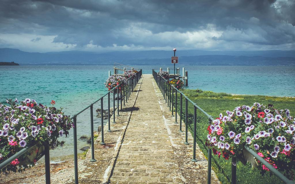 美丽的莫奈花园