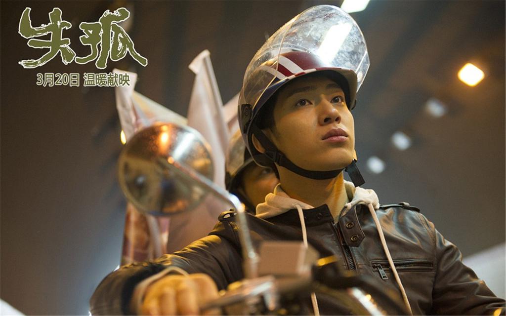 刘德华电影《失孤》