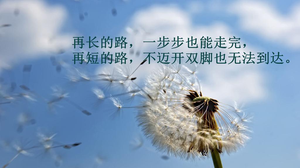 唯美清新文字控励志壁纸
