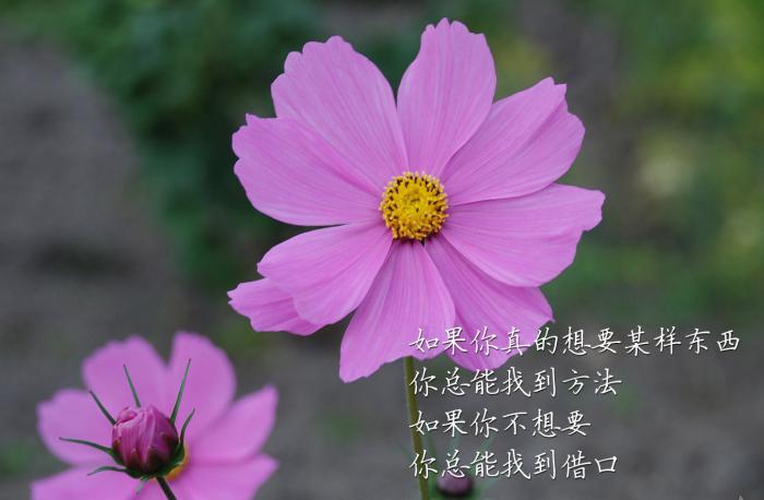 正能量青春文字图片