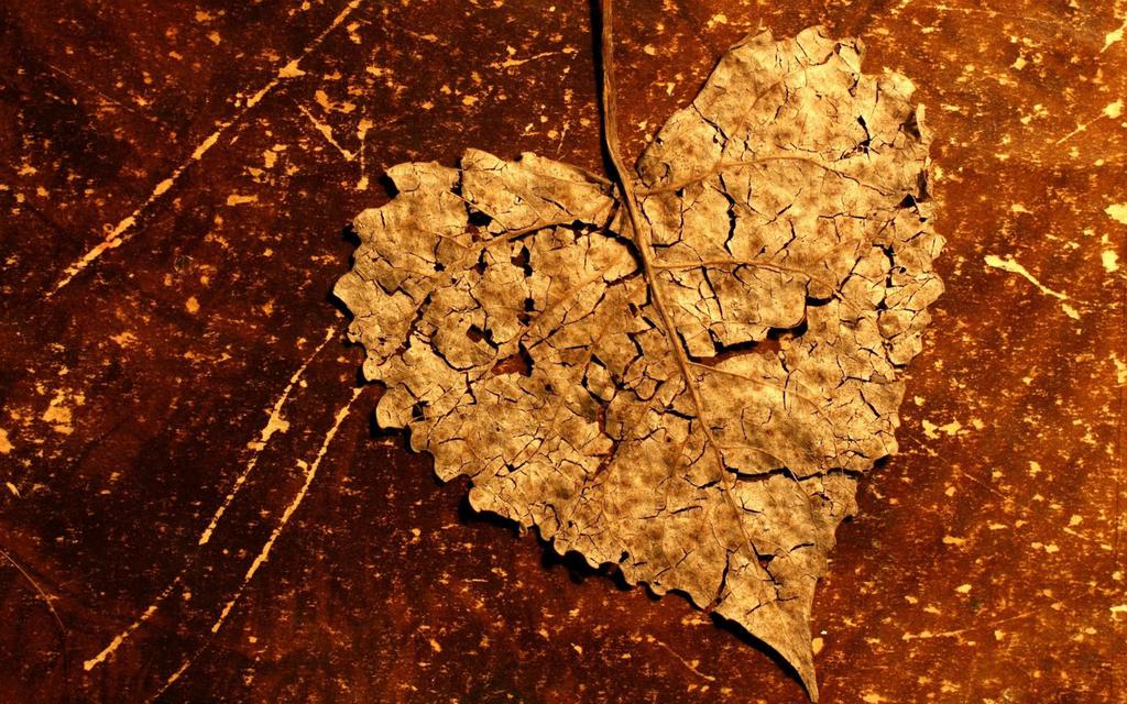 唯美自然风景桌面壁纸