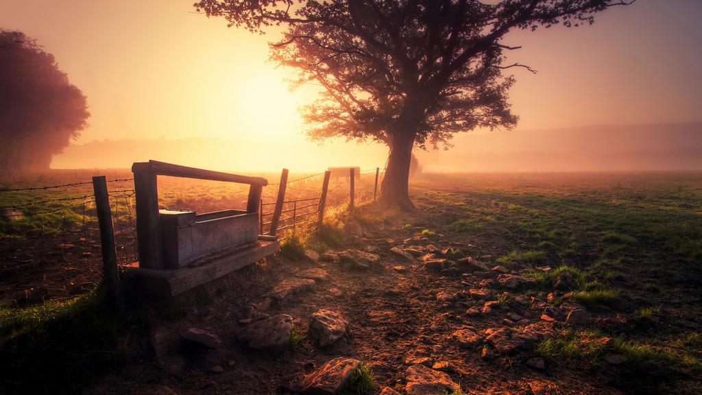 薄雾弥蒙唯美仙境壁纸