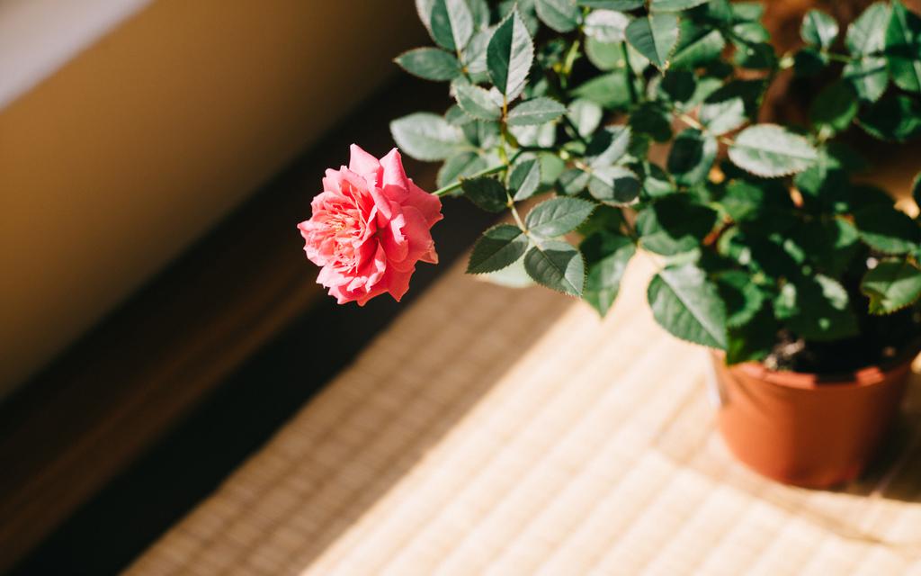 时光的痕迹桌面壁纸