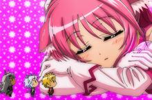 Dog Days犬勇者物语壁纸