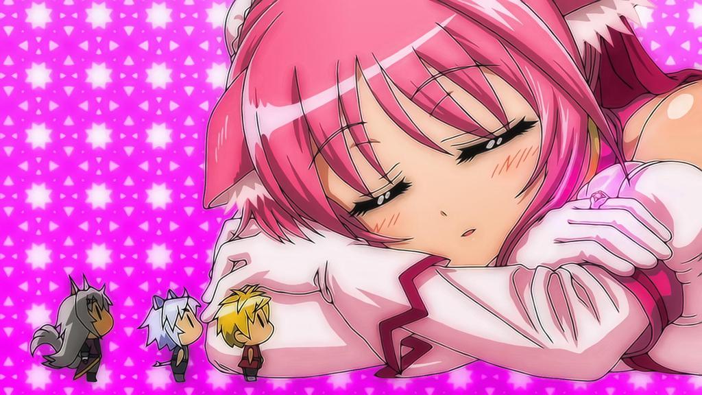 Dog Days犬勇者物语壁纸