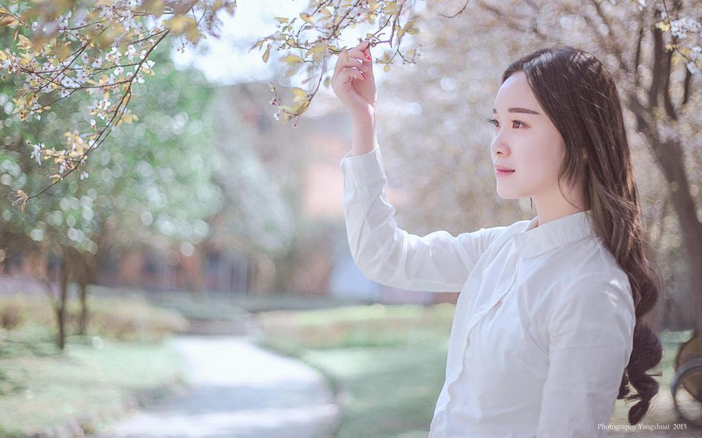 春之物语文艺美少女壁纸