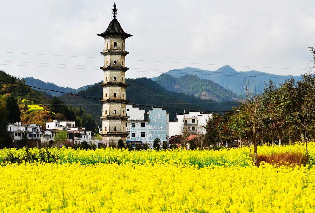 清明好去处之婺源景点图片