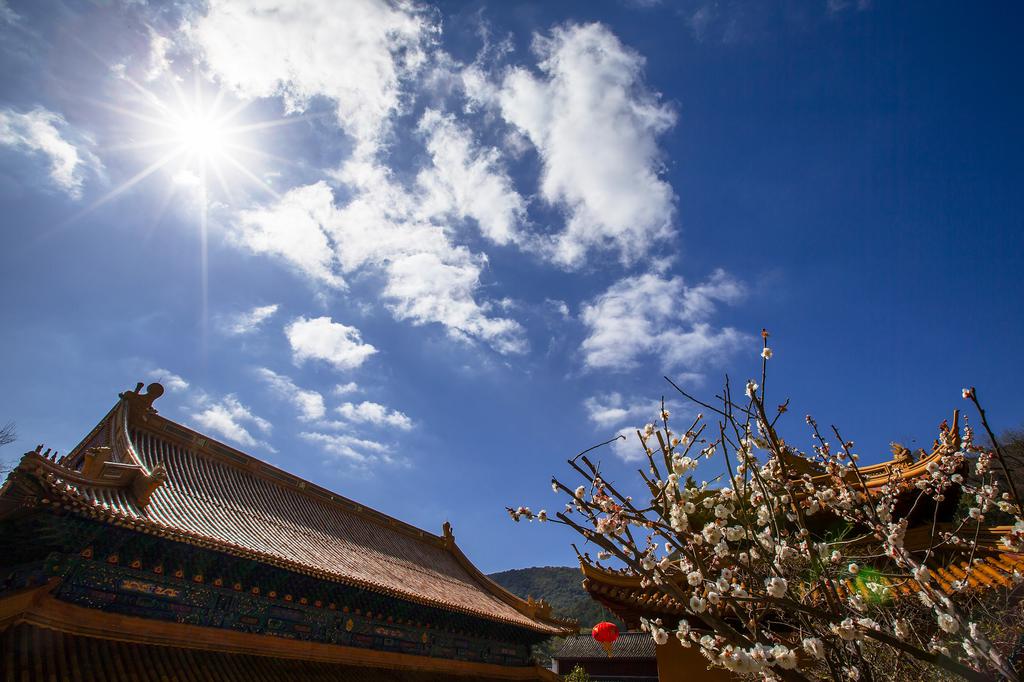 清明好去处之普陀山景点图片