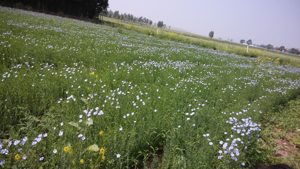 清明好去处之丰宁坝上景点图片